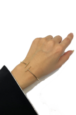 بنگل بی نهایت - تصویر 2