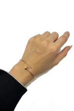 بنگل میخ - تصویر 2