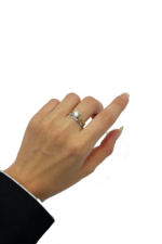 انگشتر حلقه و پشت حلقه - تصویر 2